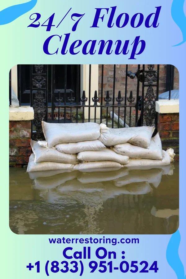 24/7 Flood Cleanup in New Market, TN
