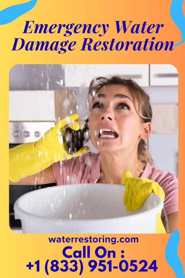 Emergency Water Damage Restoration in New Market, TN