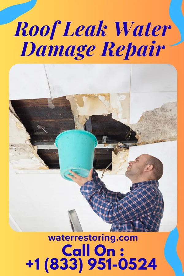 Roof Leak Water Damage Repair in New Market, TN