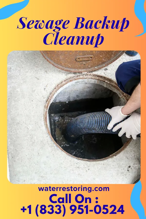 Sewage Backup Cleanup in New Market, TN